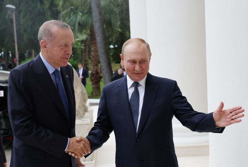 FT says Western governments are alarmed over Turkey's deepening ties with Russia