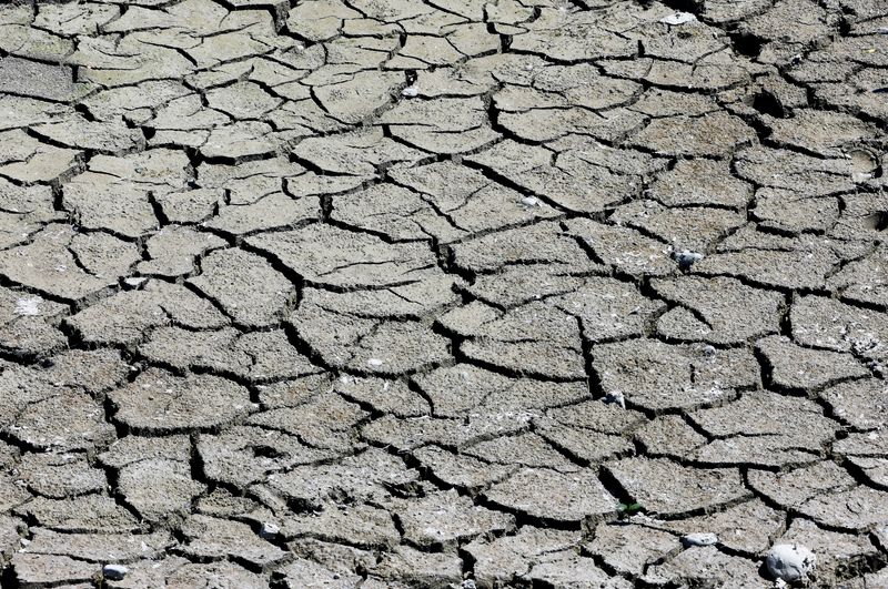 &copy; Reuters. FILE PHOTO: Cracked and dry earth is seen on the banks of Le Broc lake, as a historical drought hits France, August 5, 2022. REUTERS/Eric Gaillard