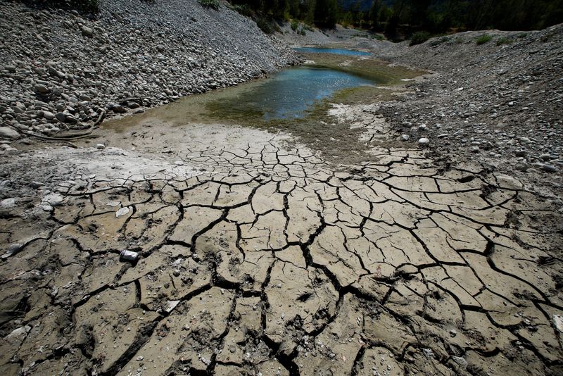 © Reuters. FILE PHOTO: Cracked and dry earth is seen on the banks of Le Broc lake, as a historical drought hits France, August 5, 2022. REUTERS/Eric Gaillard