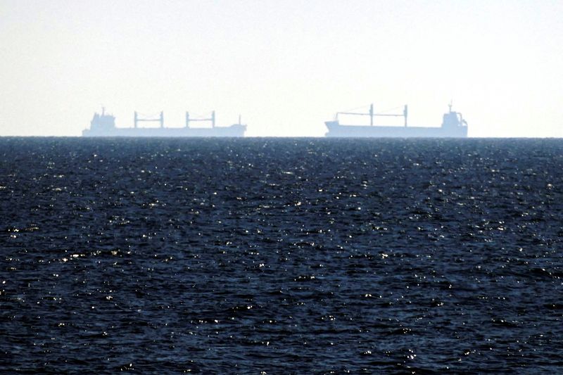 © Reuters. The Marshall Islands-flagged bulk carrier Riva Wind is seen near the sea port in Odesa after restarting grain export, amid Russia's attack on Ukraine, Ukraine August 7, 2022. REUTERS/Igor Tkachenko