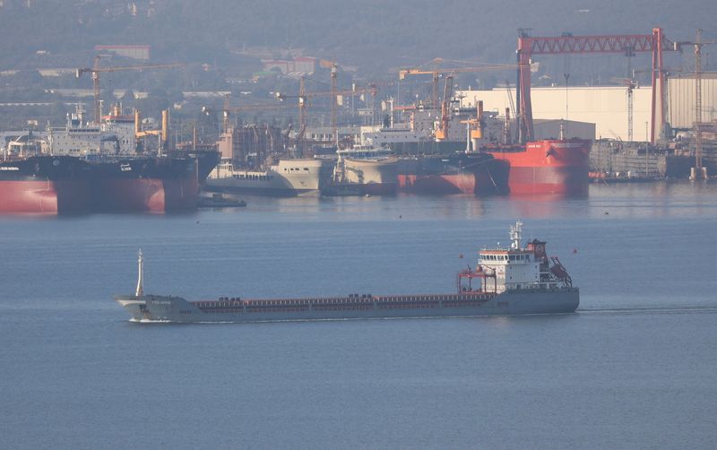 © Reuters. سفينة الشحن التي ترفع العلم التركي بولارنت في بحر مرمرة قبالة جبزي بتركيا يوم الاثنين. تصوير: يوروك ايزيك - رويترز.