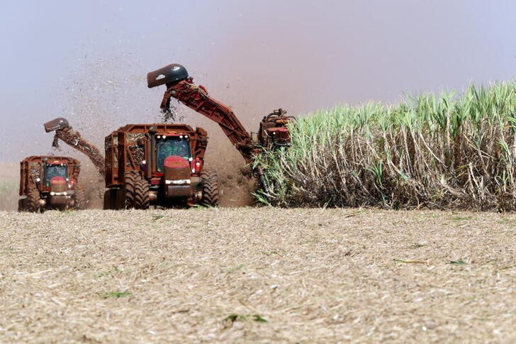 &copy; Reuters. FOTO DE ARCHIVO: Una cosechadora corta caña de azúcar en un campo del ingenio azucarero Sao Martinho en Pradopolis, Brasil, el 13 de septiembre de 2018. REUTERS/Paulo Whitaker