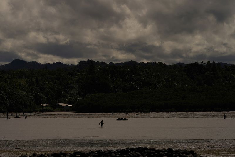 &copy; Reuters. FILE PHOTO: Villagers harvest edible seaweed, sea snails and other food sources during low tide next to Serua Village, Fiji, July 14, 2022. REUTERS/Loren Elliott   