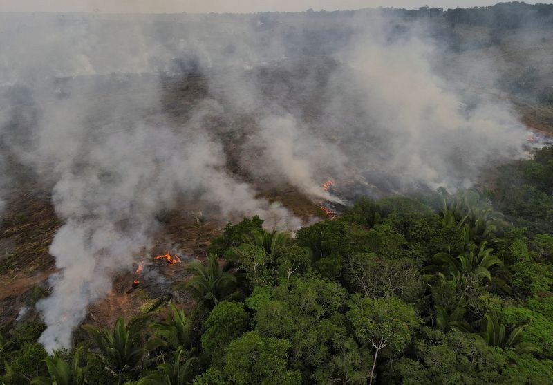 &copy; Reuters. FILE PHOTO: Smoke from a fire rises into the air as trees burn amongst vegetation in Brazil's Amazon rainforest, in Apui, Amazonas state, Brazil, September 5, 2021. Picture taken with a drone. REUTERS/Bruno Kelly
