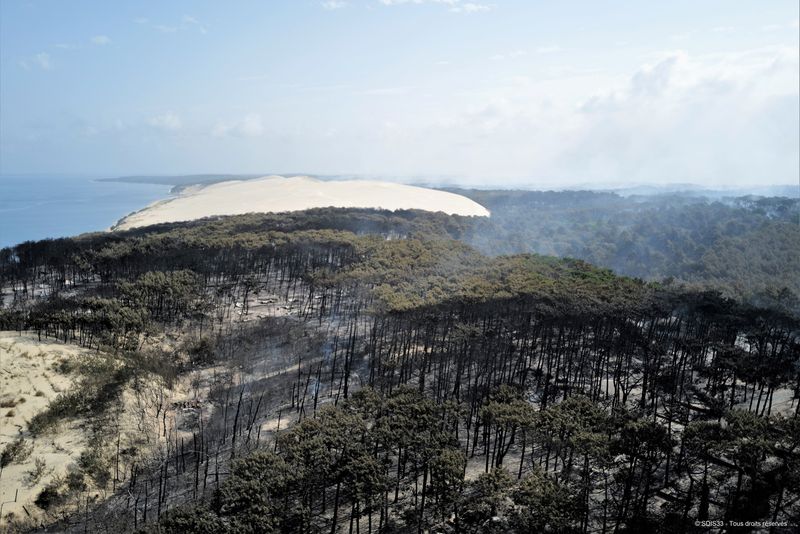 &copy; Reuters. Árboles y vegetación quemados por un gran incendio en el bosque de La Teste-de-Buch, cerca de la Duna de Pilat, en la región de la Gironda, suroeste de Francia, 25 de julio de 2022. REUTERS/Bomberos de la región de la Gironda (SDIS 33)