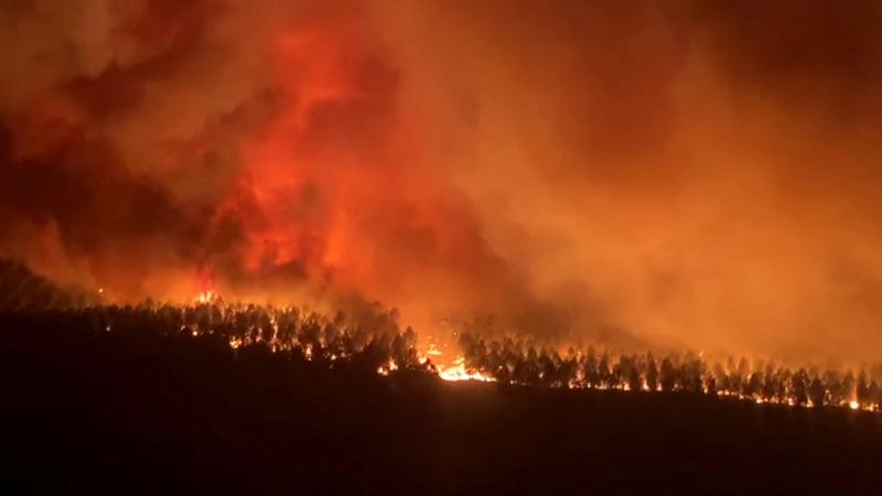 © Reuters. Flames engulf trees during a fire in Hostens, as wildfires continue to spread in the Gironde region of southwestern France, in this screen grab taken from a handout video August 9, 2022. Sdis33 via Facebook/ Handout via REUTERS 