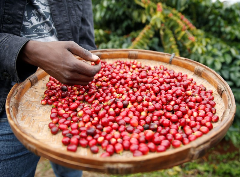 &copy; Reuters. Grãos de café REUTERS/Philimon Bulawayo