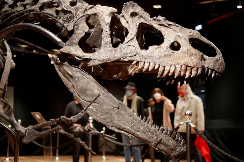 &copy; Reuters. FOTO DE ARCHIVO: Visitantes observan el esqueleto del dinosaurio Allosaurus, que vivió en Wyoming hace más de 150 millones de años, expuesto en la casa de subastas Drouot en París, Francia. 13 de octubre de 2020. REUTERS/Charles Platiau/