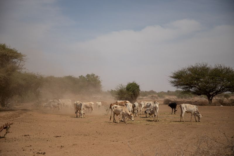 &copy; Reuters. Les projets humanitaires de l'Onu sont confrontés à un déficit de financement record cette année, les besoins mondiaux dépassant largement les promesses de dons, a déclaré vendredi le porte-parole du Bureau de la coordination des affaires humanitai