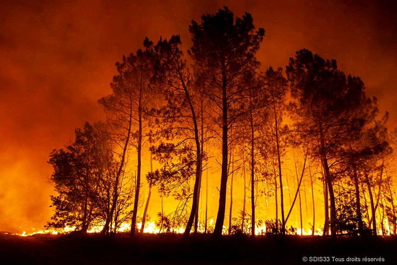 &copy; Reuters. Incêndio florestal no sudoeste da França
Cortesia de SDIS 33/Divulgação via REUTERS