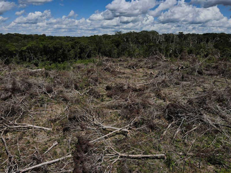 &copy; Reuters. Imagen de archivo de una vista aérea de una parcela deforestada de la selva amazónica en Manaos, estado de Amazonas, Brasil. 8 de julio, 2022. REUTERS/Bruno Kelly/Archivo