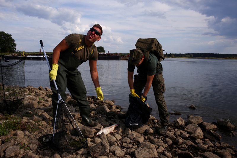 © Reuters. Un miembro de las Fuerzas Armadas polacas reacciona mientras retira peces muertos del río Oder, cerca de la frontera con Alemania, ya que se cree que la contaminación del agua es la causa de una mortandad masiva de peces, en Slubice, Polonia. 12 de agosto de 2022. REUTERS/Lisi Niesner