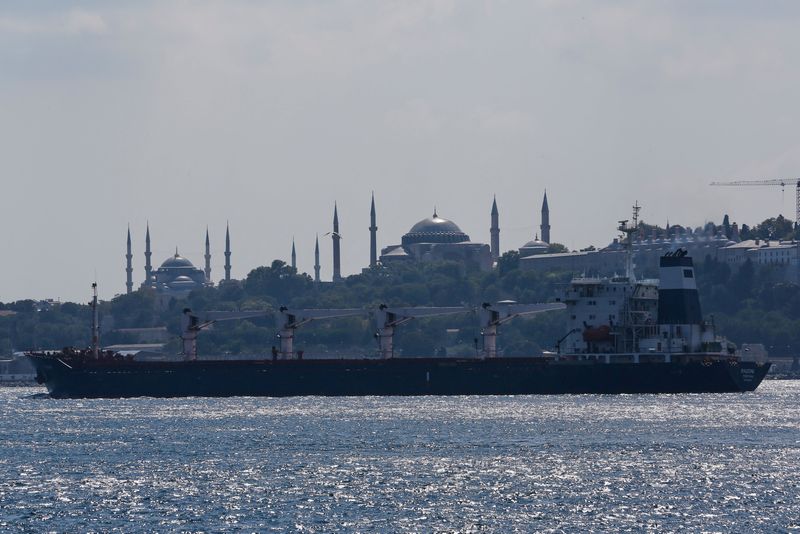 &copy; Reuters. FILE PHOTO: The Sierra Leone-flagged cargo ship Razoni, carrying Ukrainian grain, sails in the Bosphorus en route to Lebanon, in Istanbul, Turkey August 3, 2022. REUTERS/Dilara Senkaya