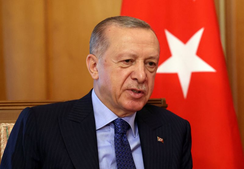 &copy; Reuters. الرئيس التركي رجب طيب أردوغان في سوتشي في الخامس من أغسطس آب 2022. صورة لرويترز من وكالة أنباء سبوتنيك. 
