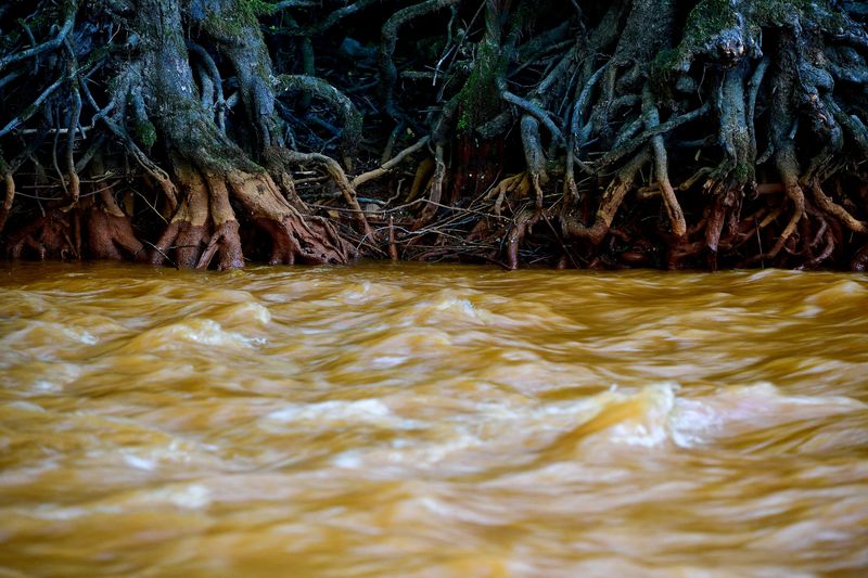 &copy; Reuters. FILE PHOTO: The Slana river polluted by water containing high levels of iron from an iron ore mine flows near Betliar, Slovakia May 18, 2022. Picture taken May 18, 2022. REUTERS/Marton Monus/File Photo
