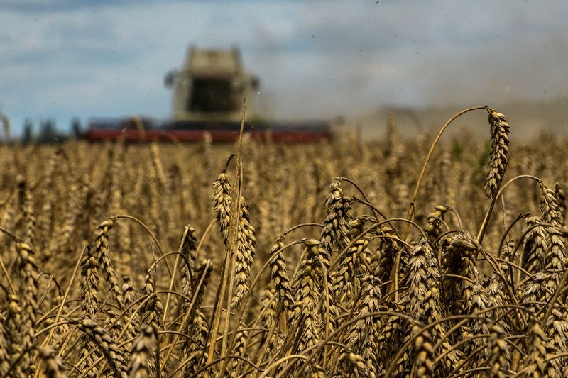 &copy; Reuters. FOTO DE ARCHIVO: Una cosechadora en un campo de trigo cerca de la aldea de Zghurivka, durante el ataque de Rusia a Ucrania, en la región de Kiev, Ucrania, 9 de agosto de 2022.  REUTERS/Viacheslav Musiienko