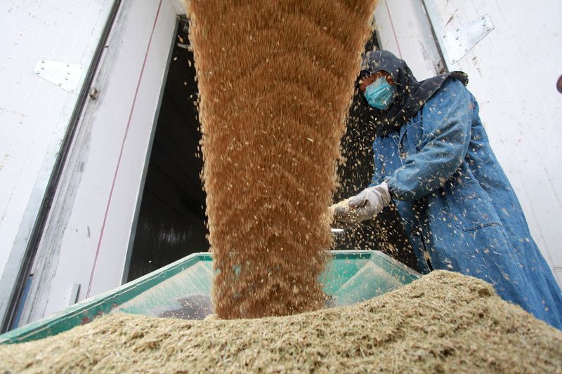 &copy; Reuters. Trabalhador transportando grãos em armazém na China. 
25/10/2019 
REUTERS/Stringer