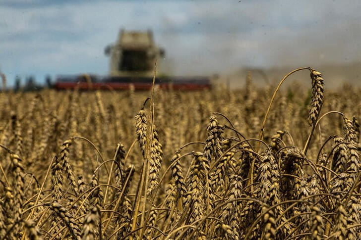 &copy; Reuters. FOTO DE ARCHIVO: Una cosechadora recolecta trigo en un campo cerca del pueblo de Zghurivka, en medio del ataque de Rusia a Ucrania, en la región de Kiev, Ucrania, el 9 de agosto de 2022. REUTERS/Viacheslav Musiienko