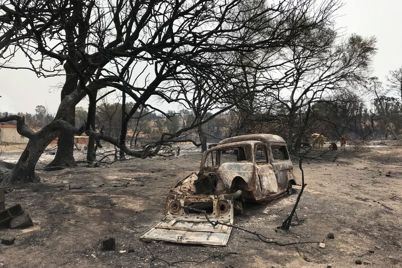 &copy; Reuters. Les feux de forêt qui ont ravagé l'Algérie ces dernières semaines ont fait au moins 37 morts, a rapporté la chaîne télévisée Ennahar en citant la direction de la Protection civile. /Photo prise le 18 août 2022/REUTERS/Ramzi Boudina