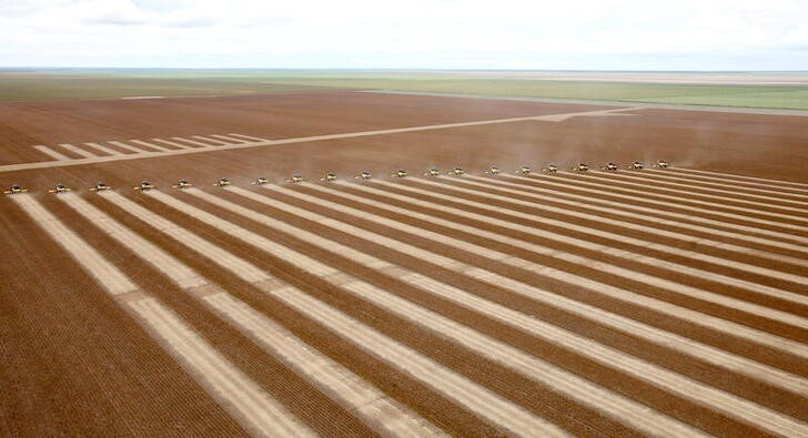 &copy; Reuters. Plantação de soja na Bahia
REUTERS/Paulo Whitaker