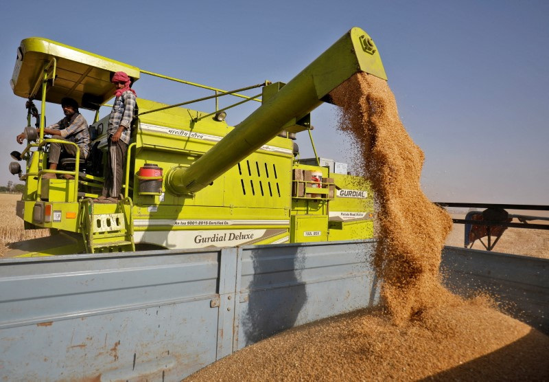 &copy; Reuters. آلة تفرز القمح في عربة بأحد الحقول في ضواحي أحمد أباد بالهند. صورة من أرشيف رويترز