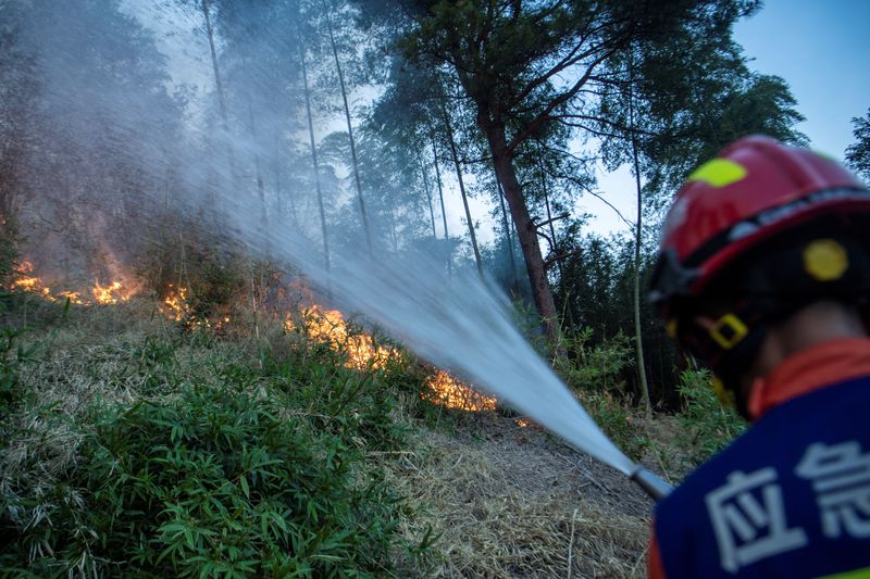 &copy; Reuters. FOTO DE ARCHIVO. Un bombero apaga un incendio forestal que se desató en un bosque en medio de las altas temperaturas, en Luzhou, provincia de Sichuan, China. 22 de agosto de 2022. cnsphoto vía REUTERS