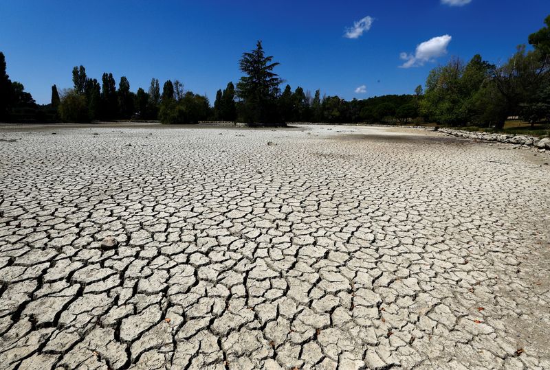 &copy; Reuters. FOTO DE ARCHIVO: Tierra agrietada y seca en un estanque, durante una sequía histórica en el país, en Tourtour, Francia, 16 de agosto de 2022. REUTERS/Eric Gaillard