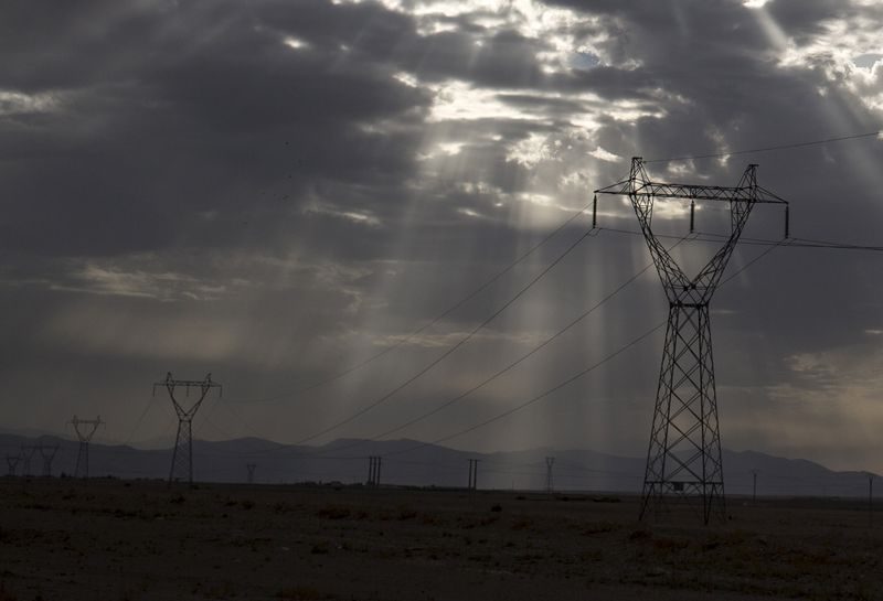 &copy; Reuters. Linhas de transmissão de energia. REUTERS/Zohra Bensemra
