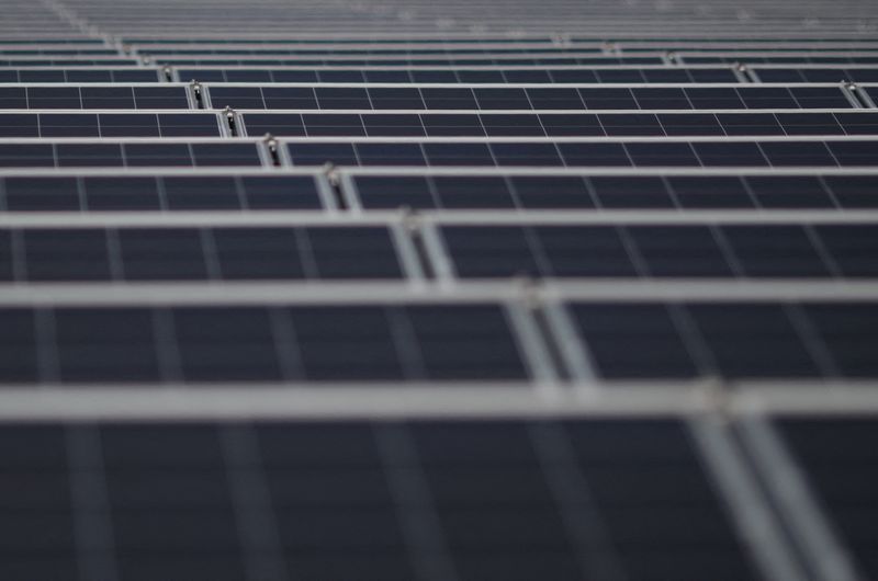 &copy; Reuters. Painéis solares. REUTERS/Henry Romero