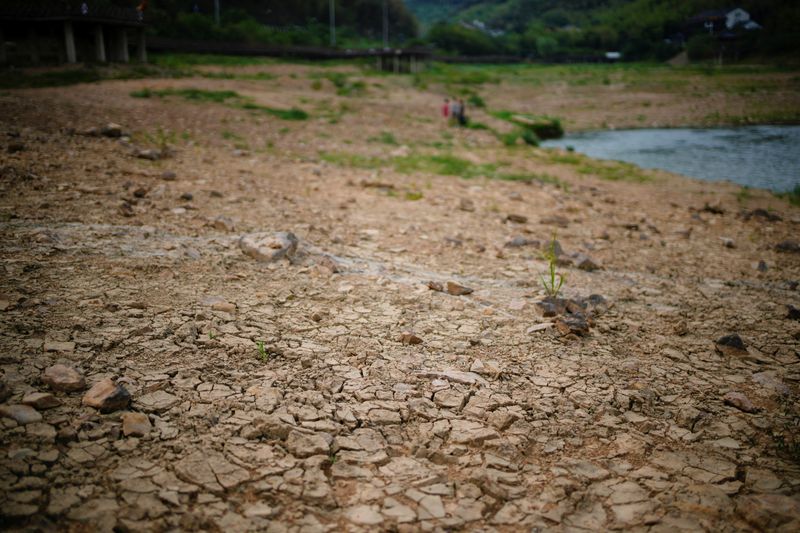 &copy; Reuters. 　８月２４日、中国では一部地域で暑さが和らいだものの、長江流域では猛暑により作物や家畜に影響が出ており当局が対応に追われている。写真は猛暑のなかで干上がった貯水池。浙江省