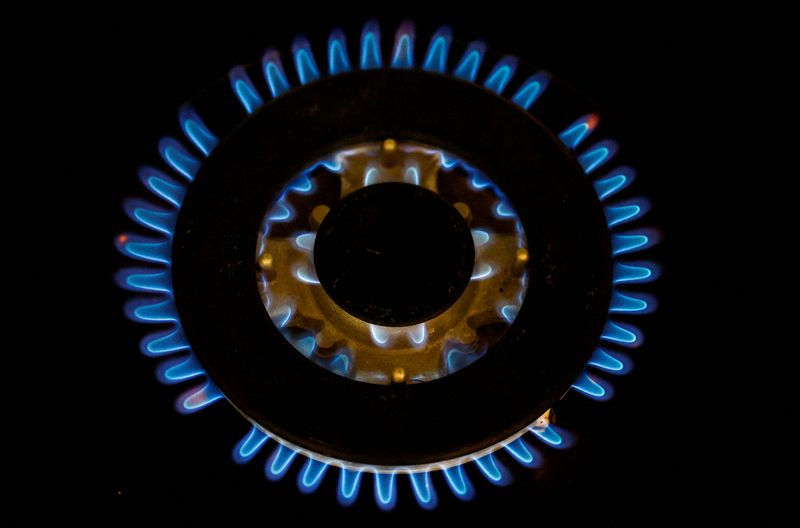 &copy; Reuters. FILE PHOTO: Flames from a gas burner on a cooker are pictured in a private home in this illustration picture taken June 27, 2022. REUTERS/Stephane Mahe/Illustration/File Photo