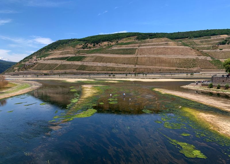 &copy; Reuters. FOTO DE ARCHIVO. Personas caminan por el cauce parcialmente seco del río Rin en Bingen, Alemania. 17 de agosto de 2022. REUTERS/Christian Kraemer