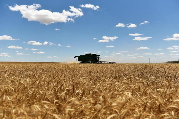 &copy; Reuters. ouFOTO DE ARCHIVO: Una cosechadora cosecha trigo de invierno en Corn, Oklahoma, EEUU