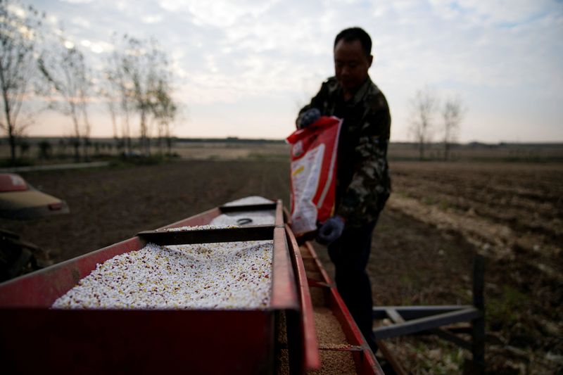&copy; Reuters. A farmer loads seeds into a seeder with fertiliser, on a wheat field in Nanyang, Henan province, China October 13, 2021. Picture taken October 13, 2021. REUTERS/Aly Song/File Photo