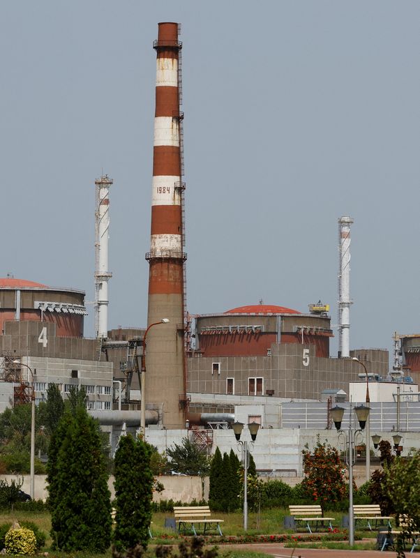 &copy; Reuters. محطة زابوريجيا للطاقة النووية في اوكرانيا في صورة بتاريخ 22 أغسطس اب 2022. تصوير: ألكسندر ارموتشينكو - رويترز. 