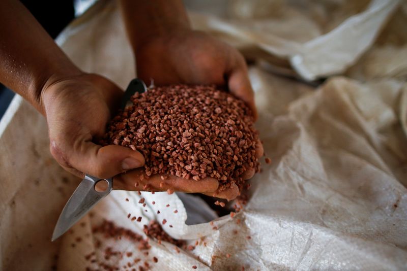 &copy; Reuters. Trabalhador agrícola mostra fertilizante. REUTERS/Adriano Machado