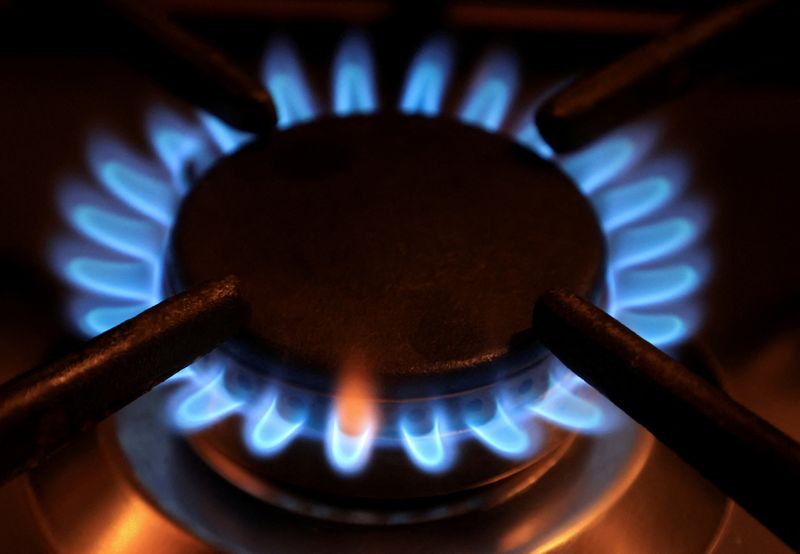 &copy; Reuters. FILE PHOTO: Gas flames of a cooker are pictured in a private home, as Russia's invasion of Ukraine continues, in Bad Honnef near Bonn, Germany, March 30, 2022.  REUTERS/Wolfgang Rattay/File Photo