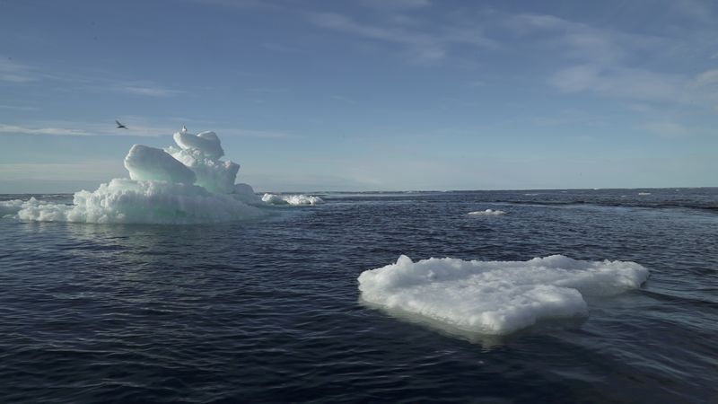 © Reuters. FILE PHOTO: Floating ice is seen during the expedition of the Greenpeace's Arctic Sunrise ship at the Arctic Ocean, September 14, 2020. REUTERS/Natalie Thomas/File Photo