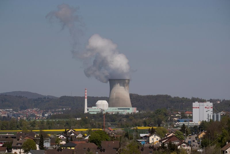 &copy; Reuters. FILE PHOTO: A general view shows the nuclear power plant KKW Leibstadt of Swiss energy company Kernkraftwerk Leibstadt AG near Leibstadt, Switzerland April 20, 2022.  REUTERS/Arnd Wiegmann