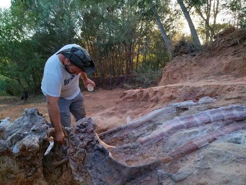 &copy; Reuters. FOTO DE ARCHIVO: Trabajos de extracción de un esqueleto parcial de un dinosaurio saurópodo en el yacimiento fósil de Monte Agudo, en Pombal, Portugal, en este comunicado de agosto de 2022. Instituto Dom Luiz (Facultad de Ciencias de la Universidad de L