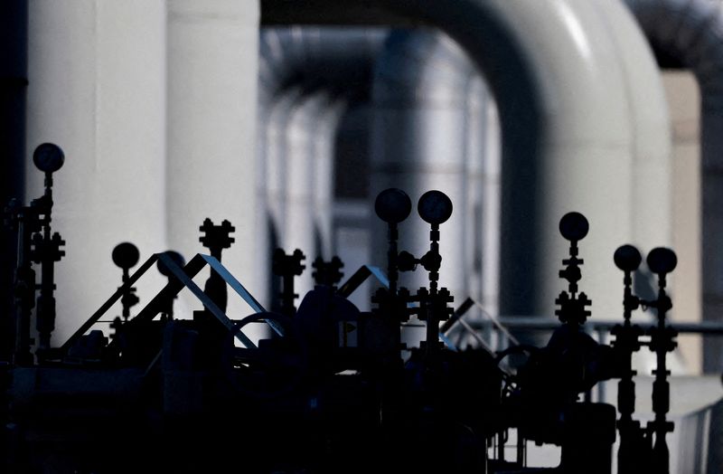 &copy; Reuters. FILE PHOTO: Pipes at the landfall facilities of the 'Nord Stream 1' gas pipeline are pictured in Lubmin, Germany, March 8, 2022. REUTERS/Hannibal Hanschke