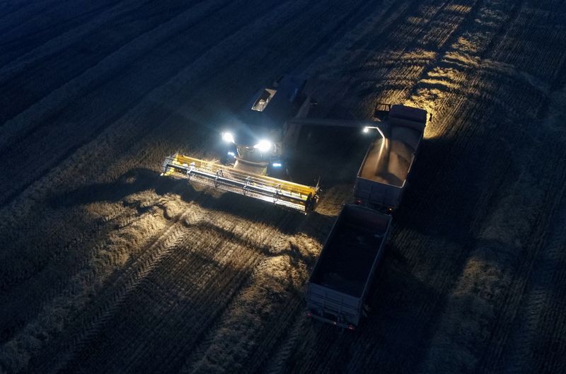 &copy; Reuters. Foto de archivo ilustrativa de una cosechadora en un campo en la localidad siberiana de Talniki, en la región rusa de Krasnoyarsk