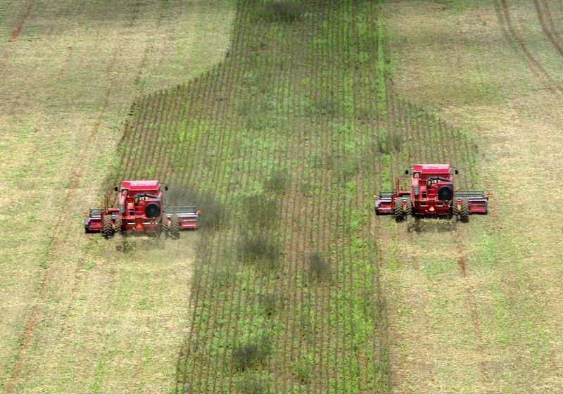 &copy; Reuters. Colheita de soja em Mato Grosso
15/8/2022
REUTERS/Paulo Whitaker  PW/HB