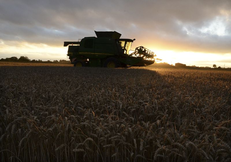 &copy; Reuters. El agricultor David Sowray conduce una cosechadora a través de un campo en la explotación de 600 acres de su familia en Humberton