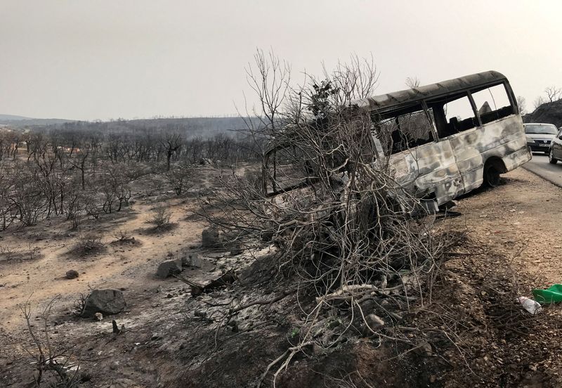 &copy; Reuters. أشجار وحافلة محترقة في أعقاب حريق غابات في الطارف يوم 18 أغسطس آب 2022. تصوير: رمزي بودينا - رويترز