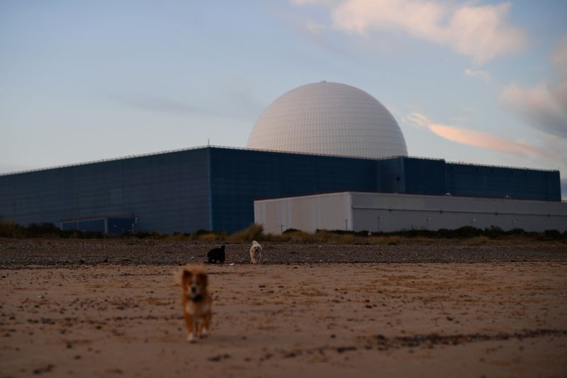 &copy; Reuters. FILE PHOTO: Dogs walk on the beach near Sizewell Nuclear Power Station as the sun sets on Sizewell in Suffolk, Britain, December 16, 2017. REUTERS/Dylan Martinez