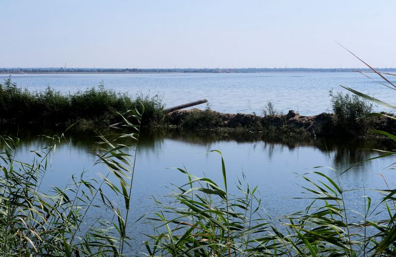 &copy; Reuters. ماسورة صرف على بحيرة قارون في الفيوم في صورة بتاريخ الأول من يوليو تموز 2022. تصوير: فاطمة فهمي - رويترز. 