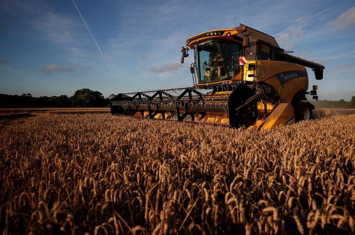 &copy; Reuters. Foto de archivo ilustrativa de una cosechadora en un campo de trigo en Chateau-Thebaud, Francia
Jul 9, 2020. REUTERS/Stephane Mahe/