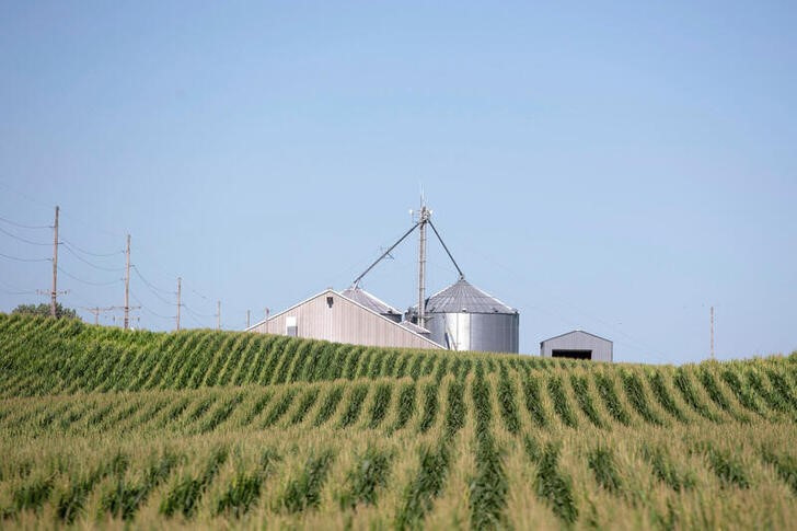 &copy; Reuters. Foto de archivo de un campo de maíz en las afueras de Wyanet, Illinois
Jul 6, 2018.  REUTERS/Daniel Acker/ 