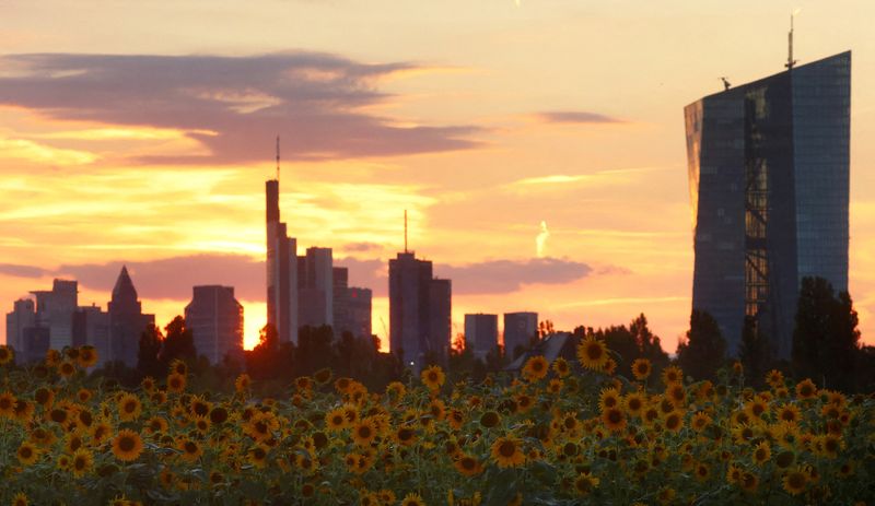 &copy; Reuters. FILE PHOTO: Sunflowers and the skyline of Frankfurt with the headquarters of the European Central Bank (ECB) are seen as the sun sets, in Frankfurt, Germany, September 1, 2022.  REUTERS/Kai Pfaffenbach